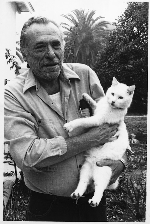 Charles-Bukowski-cats