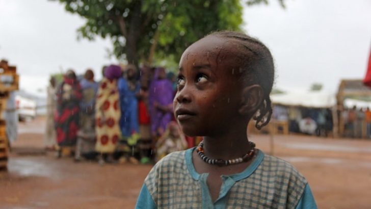 Rəngsiz Həyat-Rəngli Şəkil