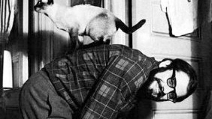 Məşhur Yazarlar və Pişikləri