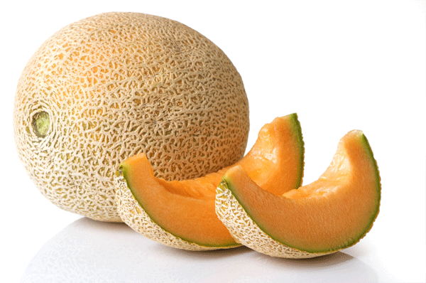 289027-melon