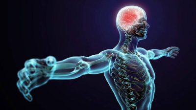 İnsan Bədəninin 10 Maraqlı Xüsusiyyəti