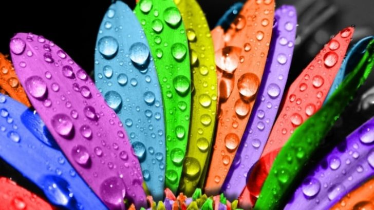 Rənglər və Anlamı