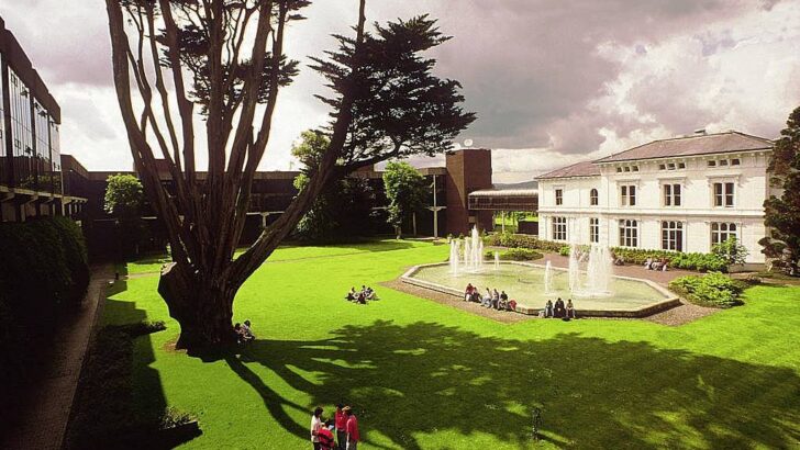 Universitetlərin Dünya Sıralaması