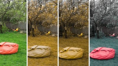 Rəng Fərqləndirmə Korluğu-Daltonizm